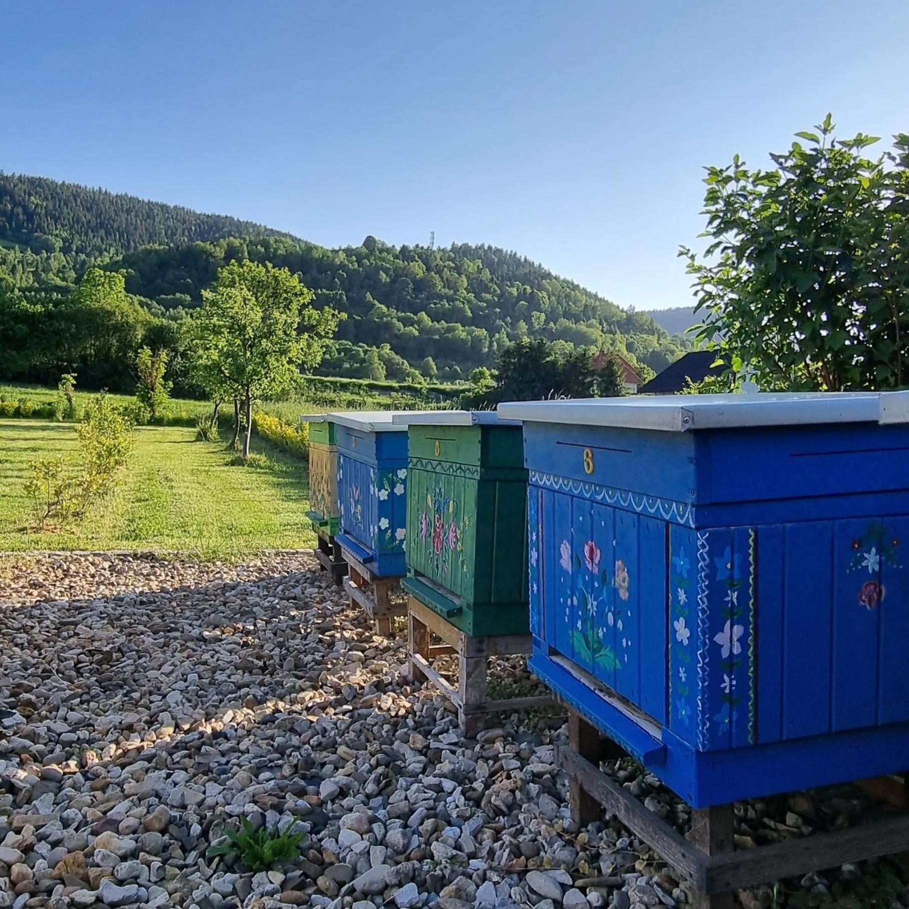 Gorczanska Koliba W Beskidzie Wyspowym Holiday home Kamienica (Limanowa)